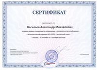 Сертификат Стажировка ЭС.jpg